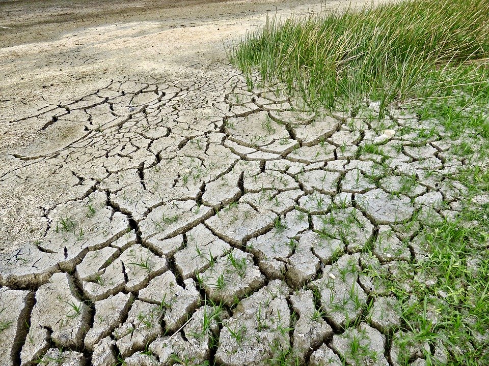 cambiamento climatico 8.jpg