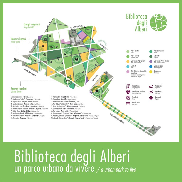 bibliotecaalberi.jpg