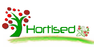 copy_of_hortised.png