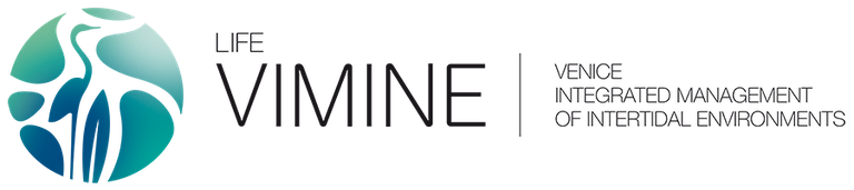 lifevimine.png