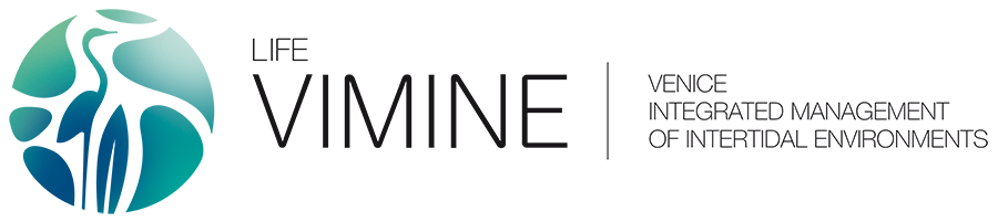 lifevimine.png
