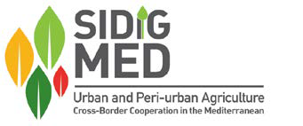 sidigmed.png