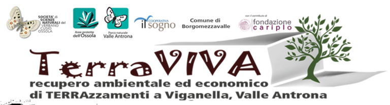 terraviva.png